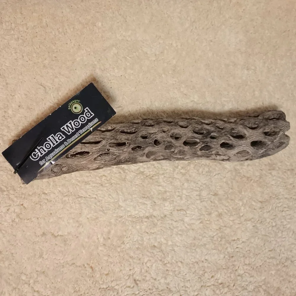 Galapagos Cholla Wood Branch Terrarium Natural Accessory, Regular 12 inches long